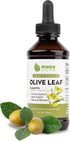 Maxx Herb Olive Leaf Extract Max Strength Oleuropein Liquid Absorbs Better Than