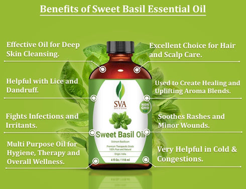 SVA Sweet Basil Oil 4 Oz - 100% Pure Natural Therapeutic Grade for Skin, Hair, Deep Massage, Diffuser & Aromatherapy