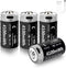 LDSMNLI 4100mWh Rechargeable Lithium C Batteries with USB-C Charging Cable, 1.5V C Cell
