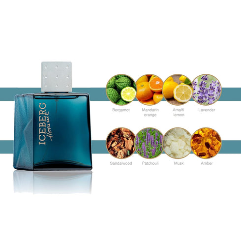 ICEBERG Homme EDT Spray Cologne For Men - 3.3 Oz - Aromatic Fougere Fragrance with Fresh Citrus Notes