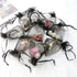 50Pcs Black Organza Bags 3x4 inch - Small Jewelry Drawstring Mesh Gift Bags for Wedding Party Favors