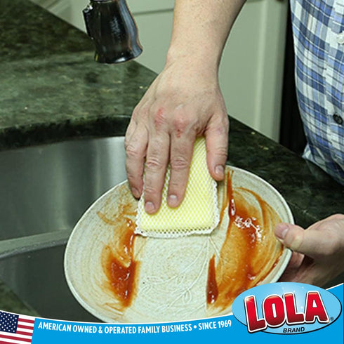 LOLA Nylon Net & Sponge Cleaning Pad, Non-Scratch Scrubbing Pads, 12 Pack for Non-Stick Surfaces