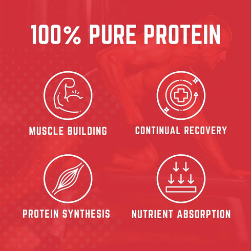 Purus Labs MYOWHEY Protein Powder, 25 Servings, Chocolate Ice Cream, 2lb