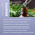 Sunny Isle Rosemary Jamaican Black Castor Oil Pure Butter 4oz - Stimulates Hair Growth & Moisturizes Hair & Skin