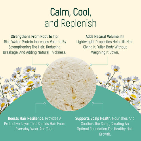 Solid Shampoo Bar and Conditioner Effect Hair Soap, 100% Organic with Plant-Based Essential Oils, Chamomile