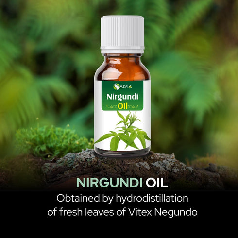 Nirgundi Oil (Vitex negundo) - 100% Natural & Pure Therapeutic Essential Oil, 30 ML