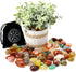 Polished Agate Stone, Colorful Rocks and Gems, Tumbled Real Crystals, Healing Stones, Reiki Decor (1lb)