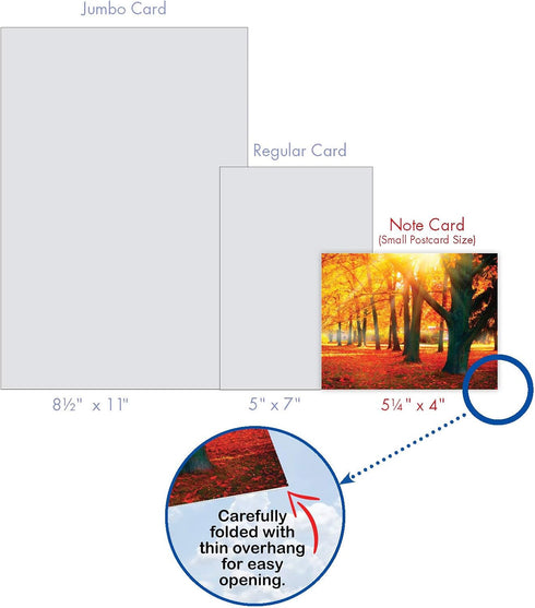 The Best Card Company 10 Beautiful Blank Note Cards (4 x 5.12 Inch) - Fall Foliage Assortment, Boxed Notecards