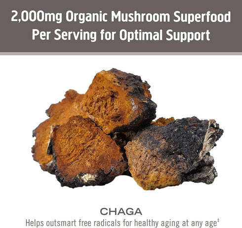 Om Mushroom Superfood Chaga Organic Mushroom Powder, 3.5 Ounce, 50 Servings, Immune Support