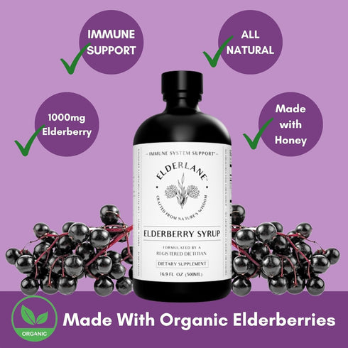 Elderberry Syrup Shots - Immune Support Supplement for Kids & Adults, Made with Honey & Elderberries