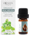 Essences Bulgaria Organic Melissa Essential Oil 1/6 Fl Oz | 5ml | 100% Pure, Natural, Undiluted, Therapeutic Grade