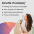 Cranberry 500 mg PureFormulas - 60 Capsules, Supports Kidney & Urinary Tract Health, Antioxidant Supplement