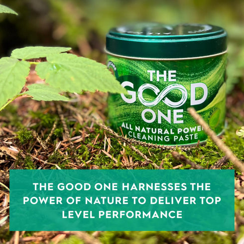 Astonish The Good One Cleaning Paste, Multi Purpose Surface Cleaning Supplies for Home and Garden, Fresh Mint Scent