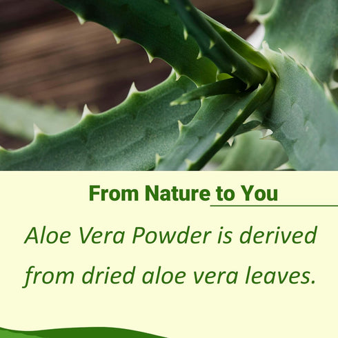Mi Nature 100% Pure Aloe Vera Powder (Aloe Barbadenis) 227g (8 oz)