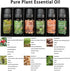 HIQILI 100% Pure Woodsy Essential Oil Set, 6x10ml, Cedarwood, Wintergreen, Frankincense, Vetiver, Rosewood, Cypress - Aromatherapy, Massage, Skin Beauty, Perfume, Gifts