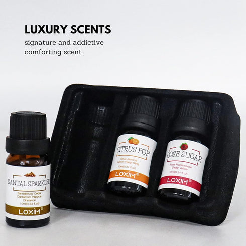 LOXIM Discovery Collection Essential Oil Set of 3, Fragrance Oils for Aromatherapy Diffuser, 100% Pure Natural
