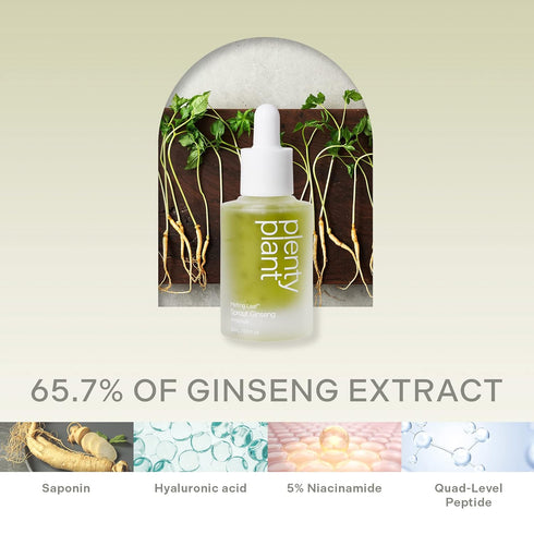 Plentyplant 65.7% Sprout Ginseng Serum 1.01 fl. oz - Korean Essence with Hyaluronic Acid, Peptides, Niacinamide
