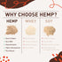 Hemp Vegan Protein Powder - Easy to Digest Chocolate Drink for Heart & Brain Health, 10 oz