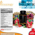 Saba Pomegranate PLUS - Cellular Nutrition, Broad Spectrum of Essential Antioxidants - Support for Stress,