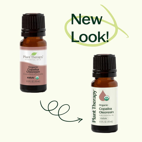 Plant Therapy Copaiba Oleoresin Organic Essential Oil 100% Pure, Natural Aromatherapy, 30 mL (1 oz)