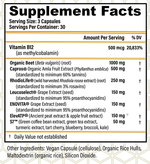 CHOQ Action 2.0 | Natural All-Day Energy | 90 Vegan Capsules | Rhodiola Rosea