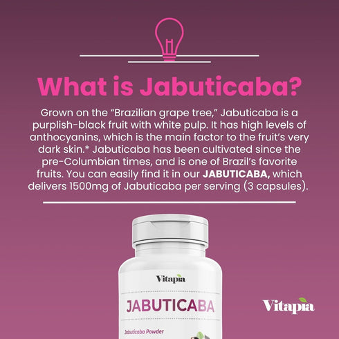 Jabuticaba Fruit Powder Supplement - 1500mg Antioxidant, Better Lung Health, Digestion, Immune Support - 180 Vegan