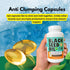 30 days Thymoquinone Pure Turkish Black Seed Oil, 90 Blackseed TQ Caps, Antioxidant Cold Pressed