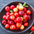 Earthborn Elements Acerola Cherry 200 Capsules, Pure & Undiluted Herbal Supplement, No Additives