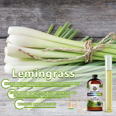 GV77ZF 16 oz (480 ml) Lemongrass Essential Oil - Lemongrass Oils for Diffusers, Humidifiers, DIY Candles, Soap
