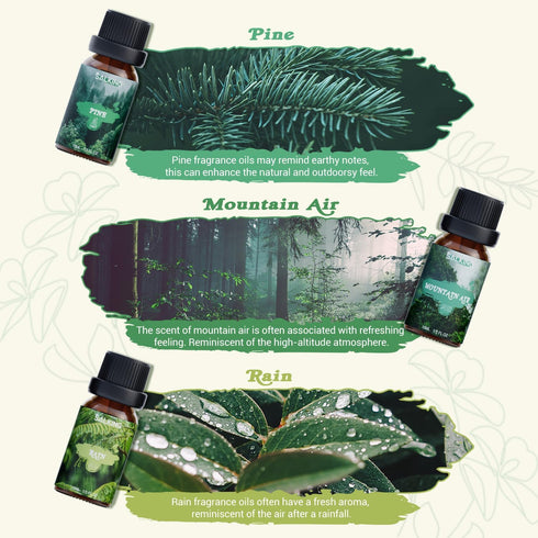 SALKING Nature Fragrance Oils, Premium Essential Oil for Diffuser, Gift Set for Soap Candle Making