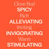 Plant Therapy Clove Bud Essential Oil 100% Pure, 30 mL (1 oz), Undiluted, Natural Aromatherapy