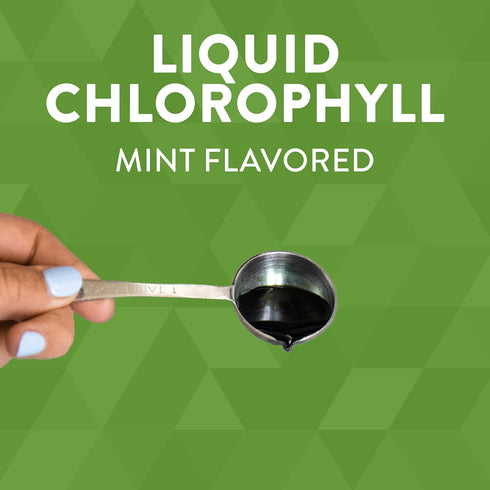 Nature's Way Chlorofresh Liquid Chlorophyll - 16 Fl. Oz Mint Flavored for Skin & Body Detox Support