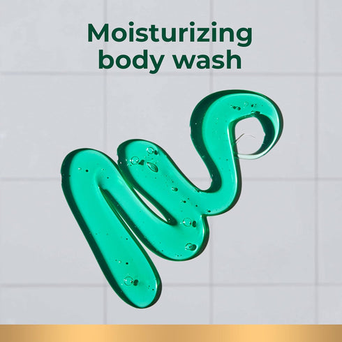 Irish Spring Original Clean Body Wash, 20 Oz, 2 Pack