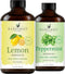 Handcraft Blends Energy & Zest Set: Peppermint and Lemon Essential Oils (2