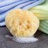 Sea Soft Silk Sponge for Cosmetic Use, Facial Cleansing, 3-4 Inches