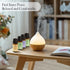 8 Pack Organic Aromatherapy Essential Oil Set - Pure Essential Oil Kit for Diffusers & Candle Making