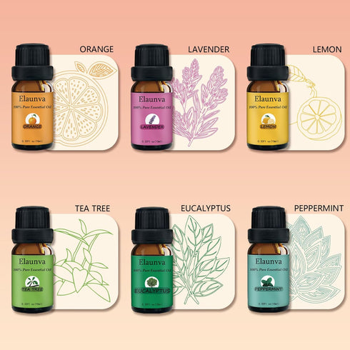Set 6 (6 10mL) Essential Oils Aromatherapy - Oils for Diffusers, Home Care, Candle Making Scents, Fragrance