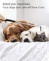 Portable Extendable Back Scratcher, 2 Pack Metal Telescoping Backscratchers for Adults, Kids, Dogs with Gift Packaging