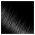 Kiss Express Semi-Permanent Hair Color – Vivid, Gentle Formula for Gray Coverage, 3.5 oz, Black, 1 Count