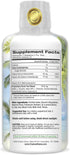 Tropical Oasis - Brain Power Liquid Nootropic Supplement for Mental Clarity, Focus, and Memory Retention (Unflavored,