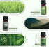 SALUBRITO Essential Oils Set - Nature Fragrance Oils Set for Diffuser, Candle, Soap Making - Forest Pine, Ocean Breeze