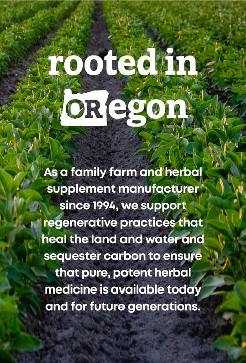Oregon's Wild Harvest Non-GMO Chaste Tree Capsules, Organic Herbal Supplements, 90 Count