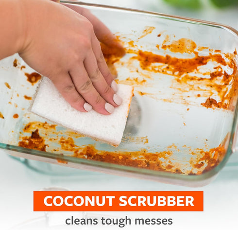 Pack 2 Full Circle Coconut Scrubber Sponges, of Dual-Sided, Plant-Based Sponges Made with Coconut Shells, Cellulose
