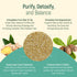 Solid Shampoo Bar and Conditioner Effect Hair Soap, 100% Organic with Plant-Based Essential Oils, Ginger