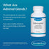 Euromedica Adrenaplex - 60 Capsules for Healthy Adrenal Gland Function & Balanced Mood - 30 Servings
