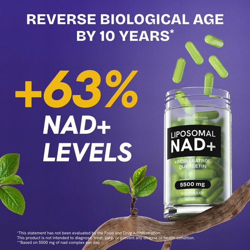 NMN Supplement Alternative - High Absorption NAD, Resveratrol, Berberine, Quercetin, Noni - Liposomal NAD Supplement for Anti Aging, Brain Support, Gut & Joint Heath - 60 Capsules
