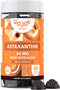 Chewable Astaxanthin Gummies - 24mg Natural Antioxidant Supplement, Vegan, Sugar-Free, 2 Month Supply (60 Gummies)