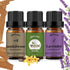 yethious Lavender Vanilla Sandalwood Essential Oil - 100% Pure Organic Lavender Oil for Diffuser, Aromatherapy, Skin