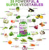 Sugar-Free Fruits and Veggies Gummies Supplement - Multi-Vitamins & Minerals, Immunity & Energy Support