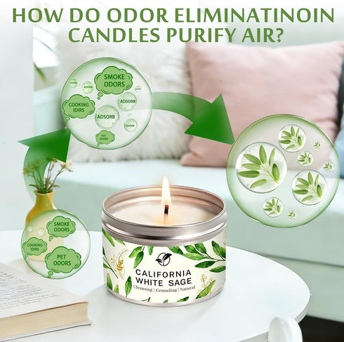 Set, 6-Pack 6oz Sage Candle Gift Natural Soy Wax Aromatherapy Scented Candles, Clean Burn & Lead-Free Cotton Wicks